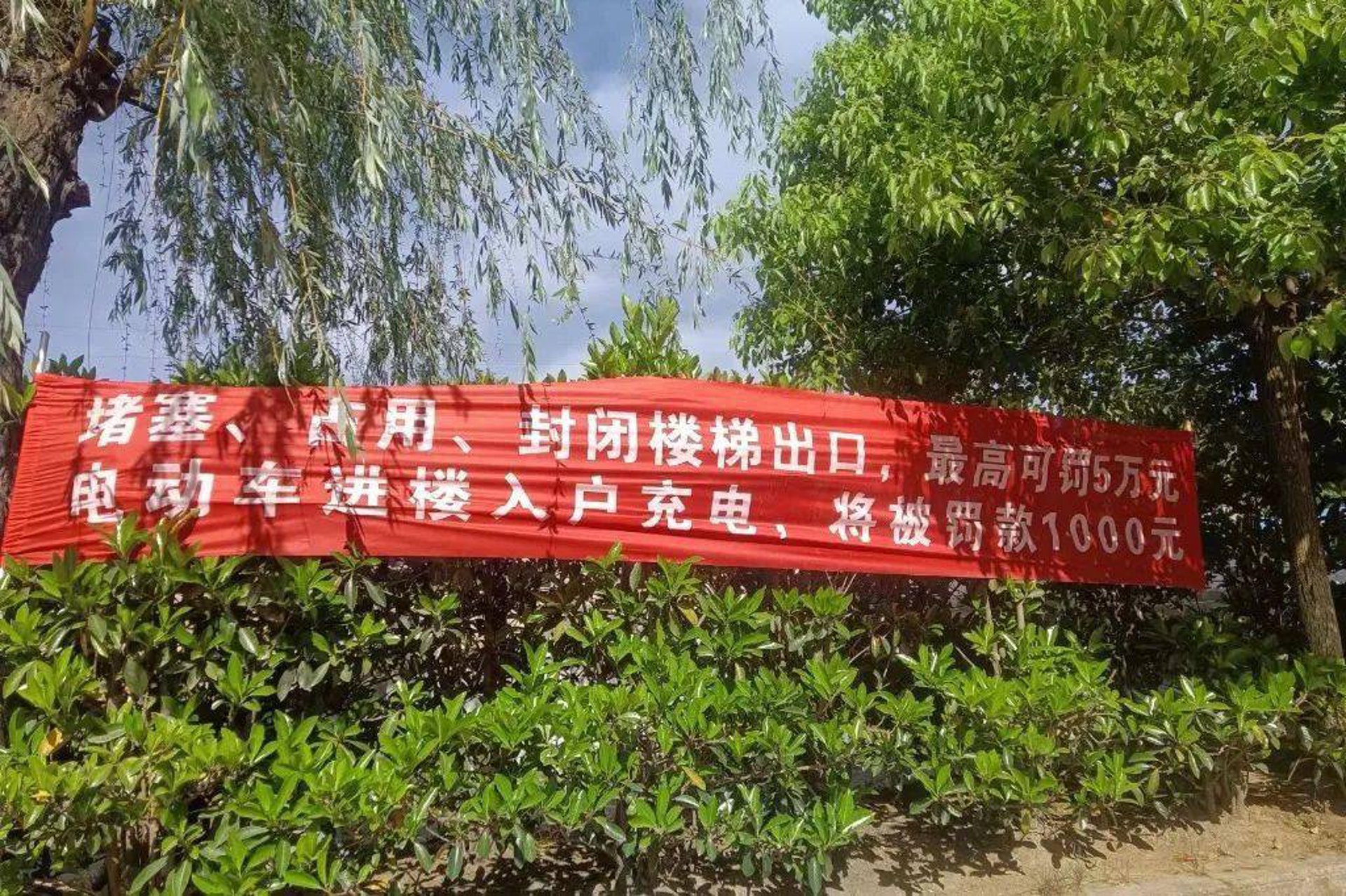 长鑫绿通电动车销售